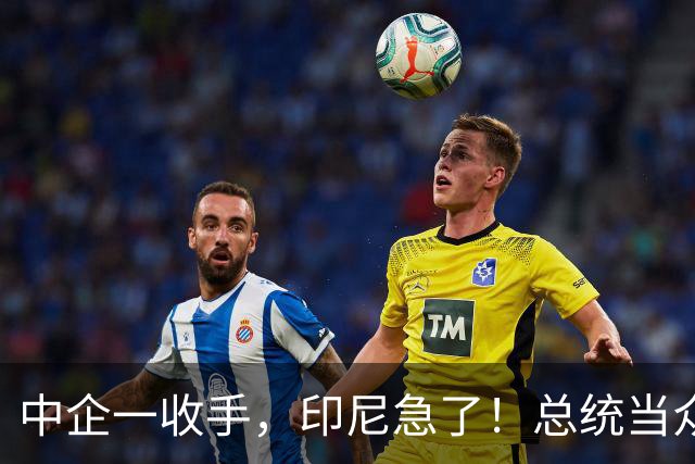 中企一收手，印尼急了！总统当众喊“家人们”，中方只看实际行动